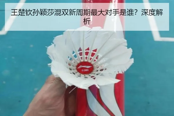 王楚钦孙颖莎混双新周期最大对手是谁？深度解析